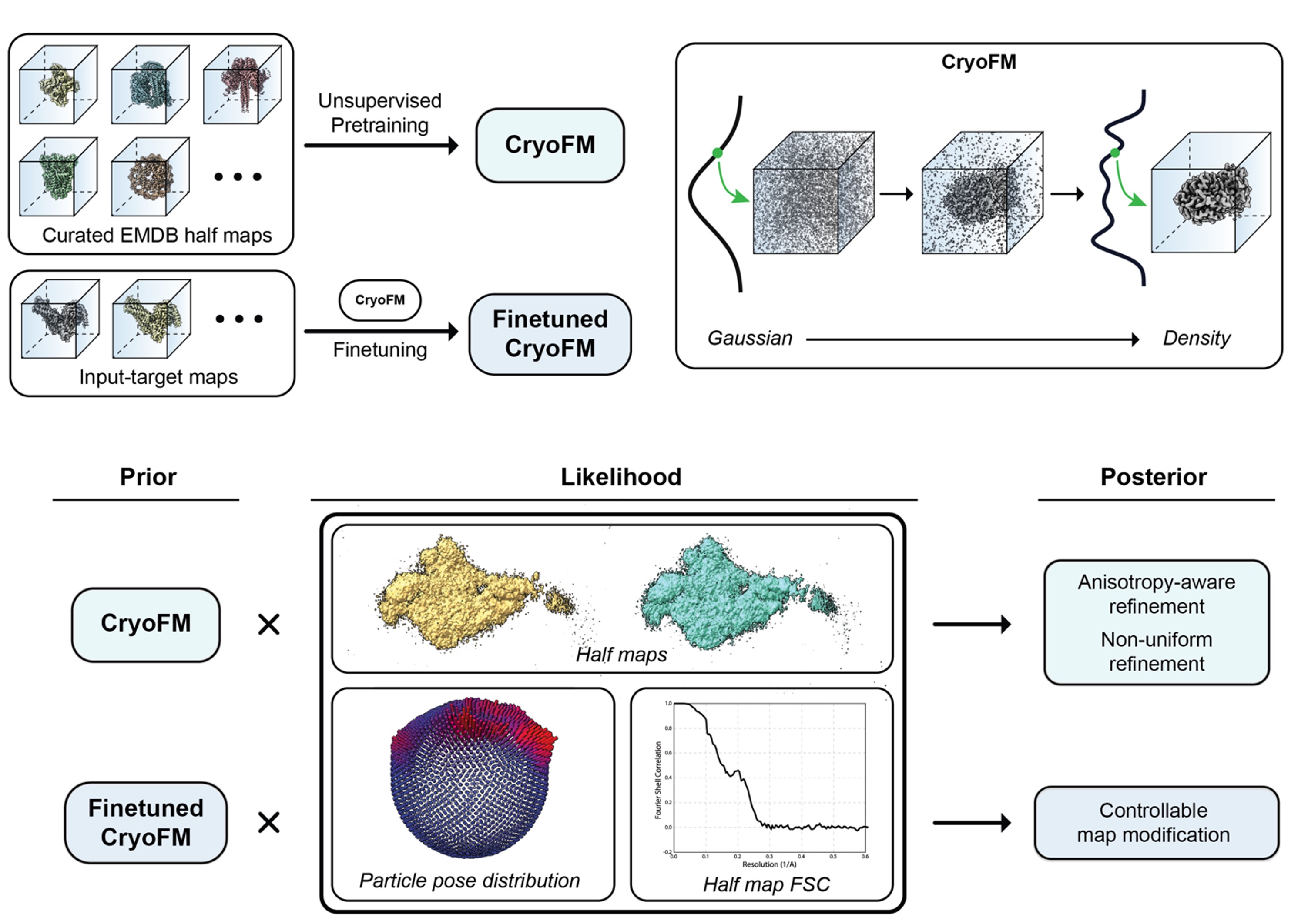 CryoFM2 Overview