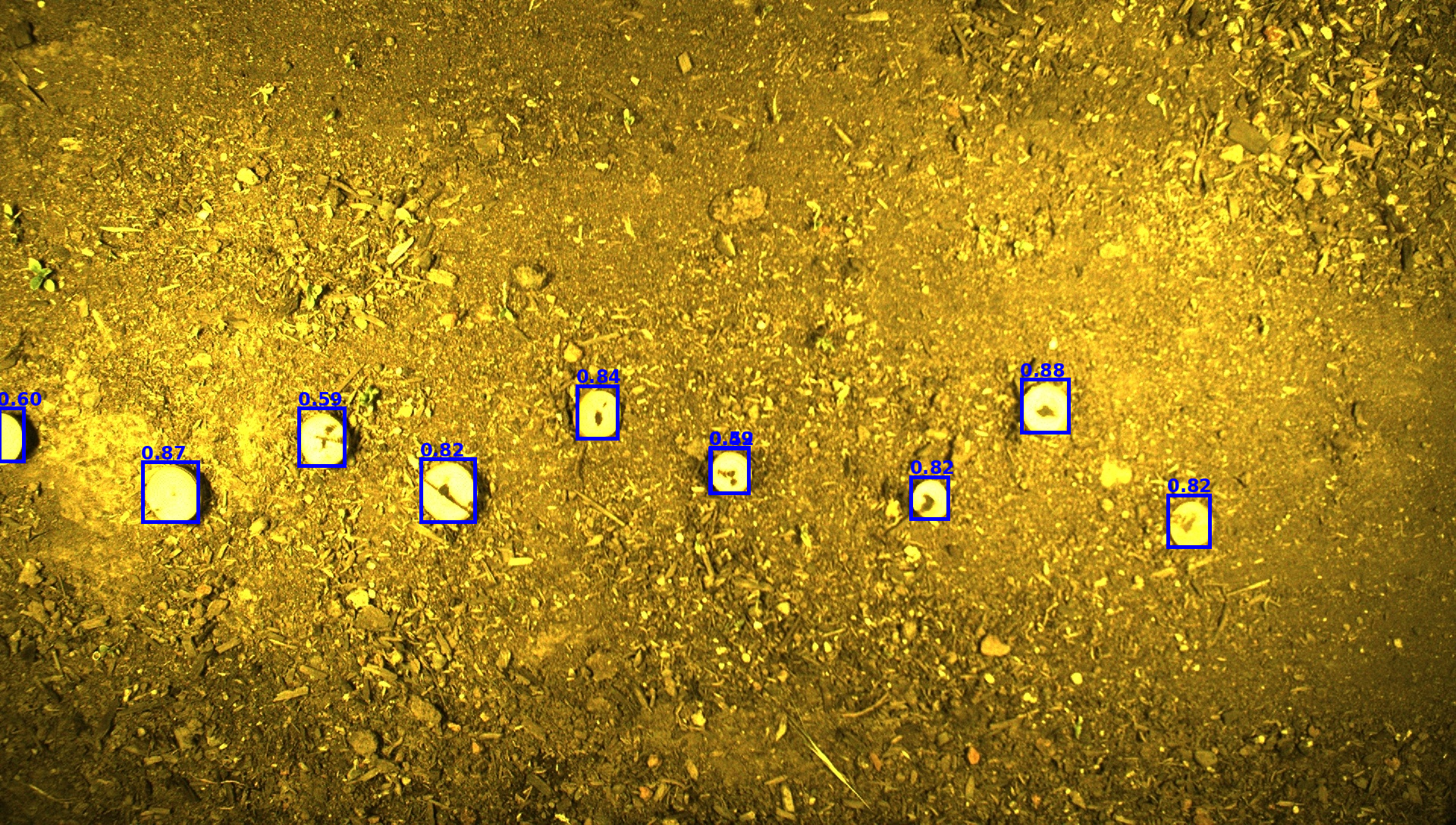 Medium Detections