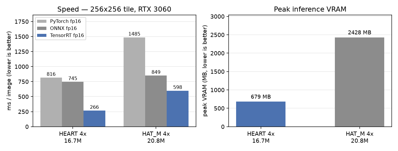 HEART vs HAT_M — PyTorch / ONNX / TensorRT speed and VRAM