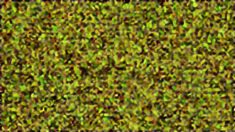 4b4d9173.jpg