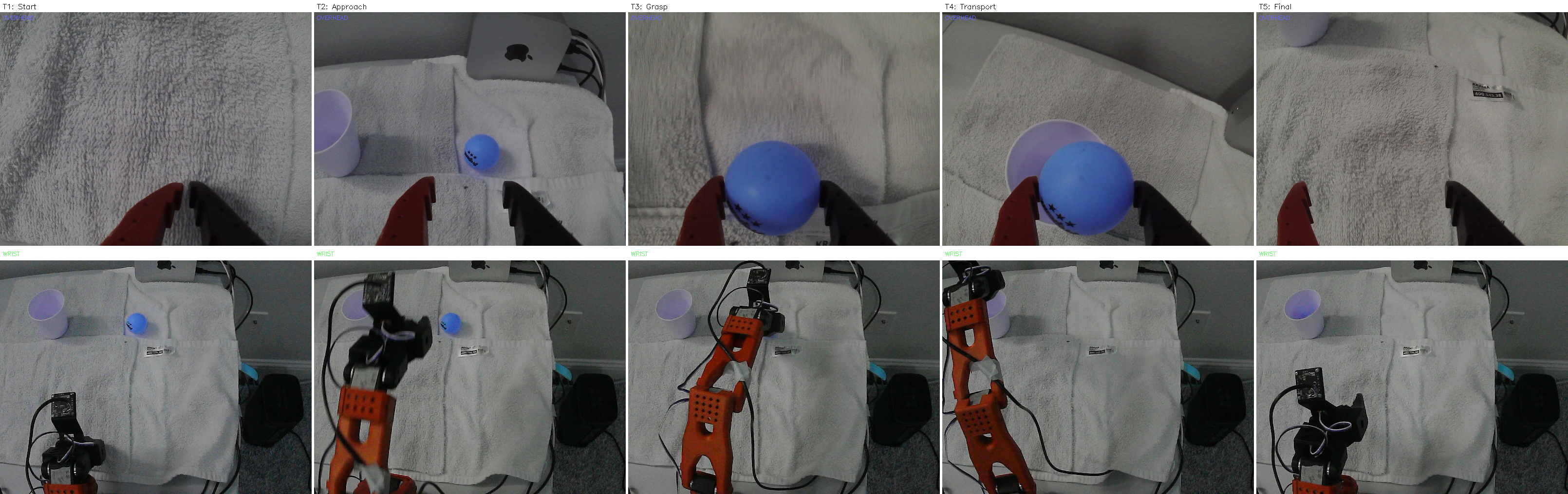 Evaluation Composite - Raw