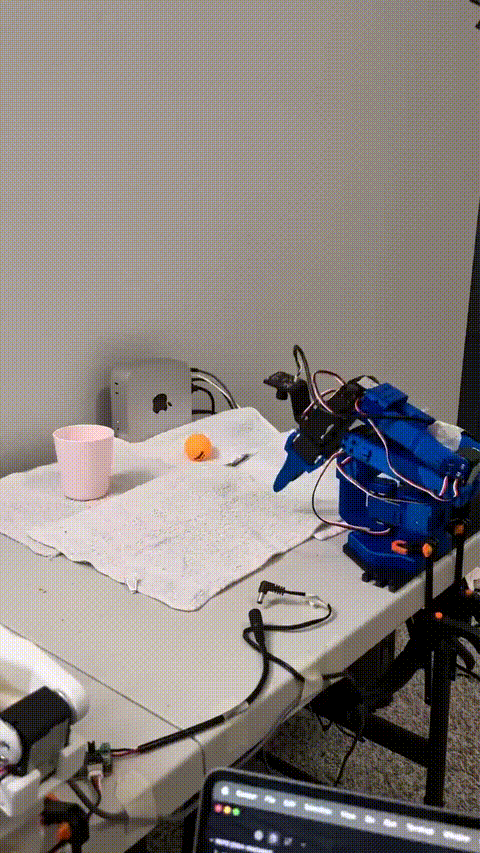 External Video - JPEG