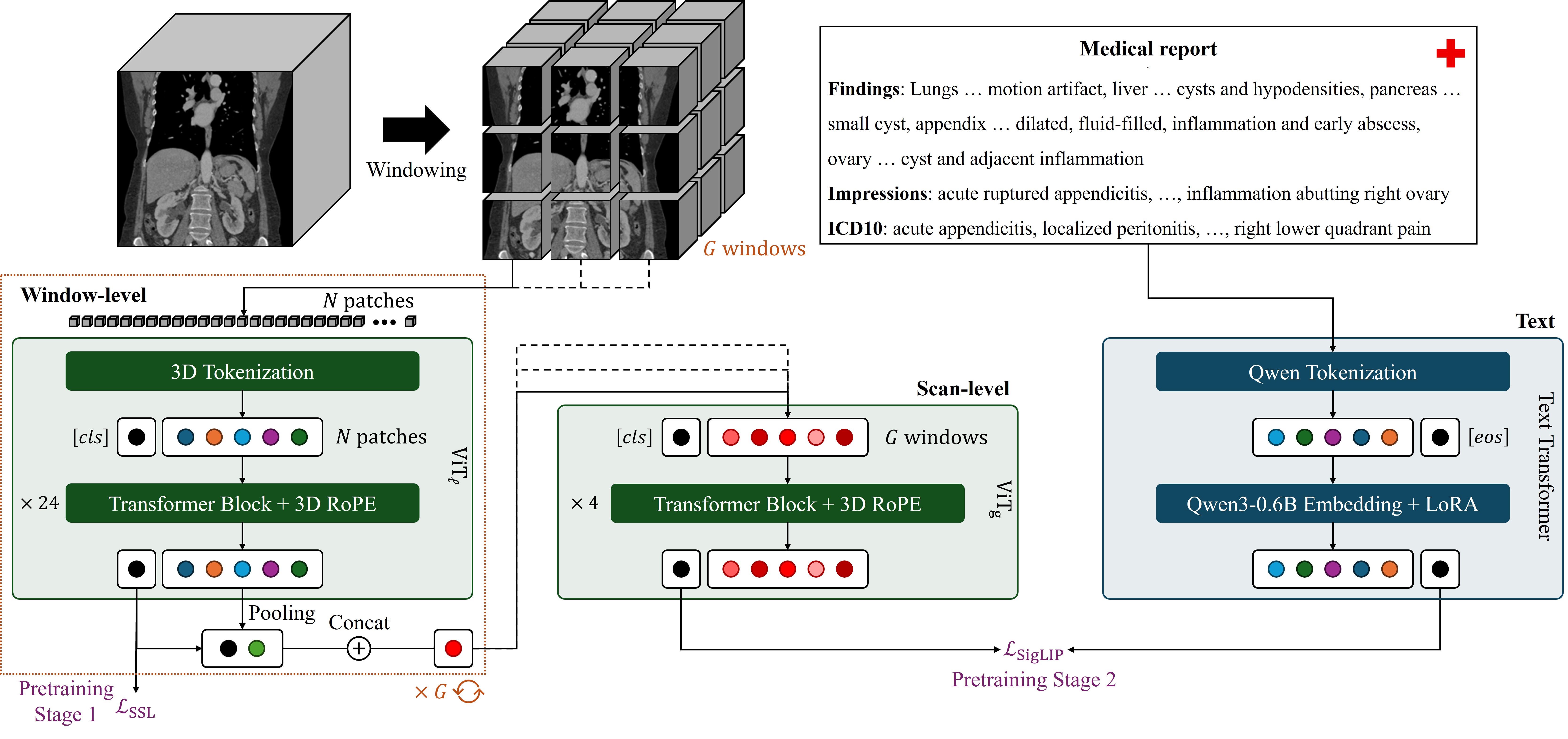 SPECTRE architecture and pretraining strategies