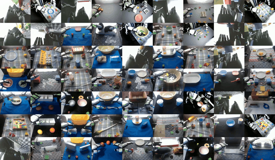 Dexora Multi-view Dataset