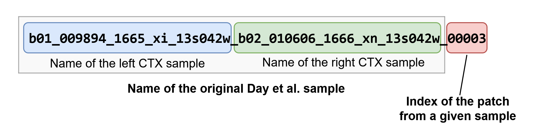 Naming convention of each sample