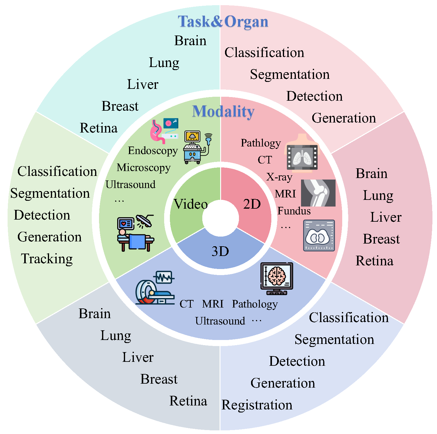 Taxonomy