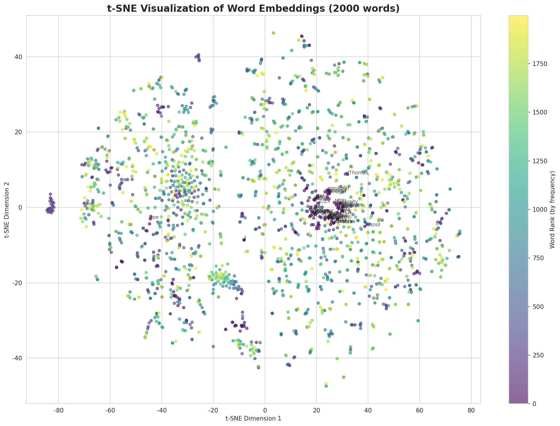 t-SNE Words