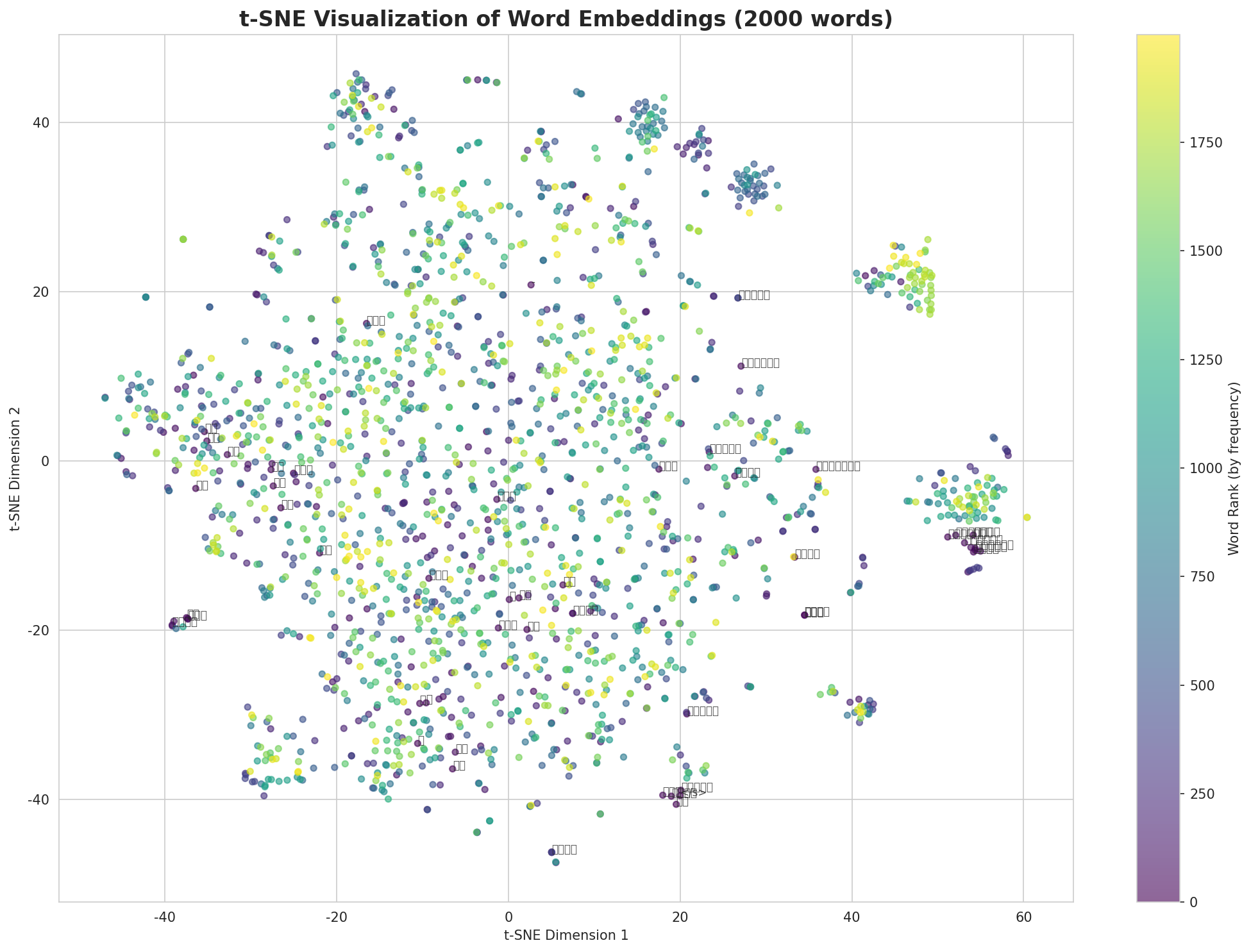 t-SNE Words