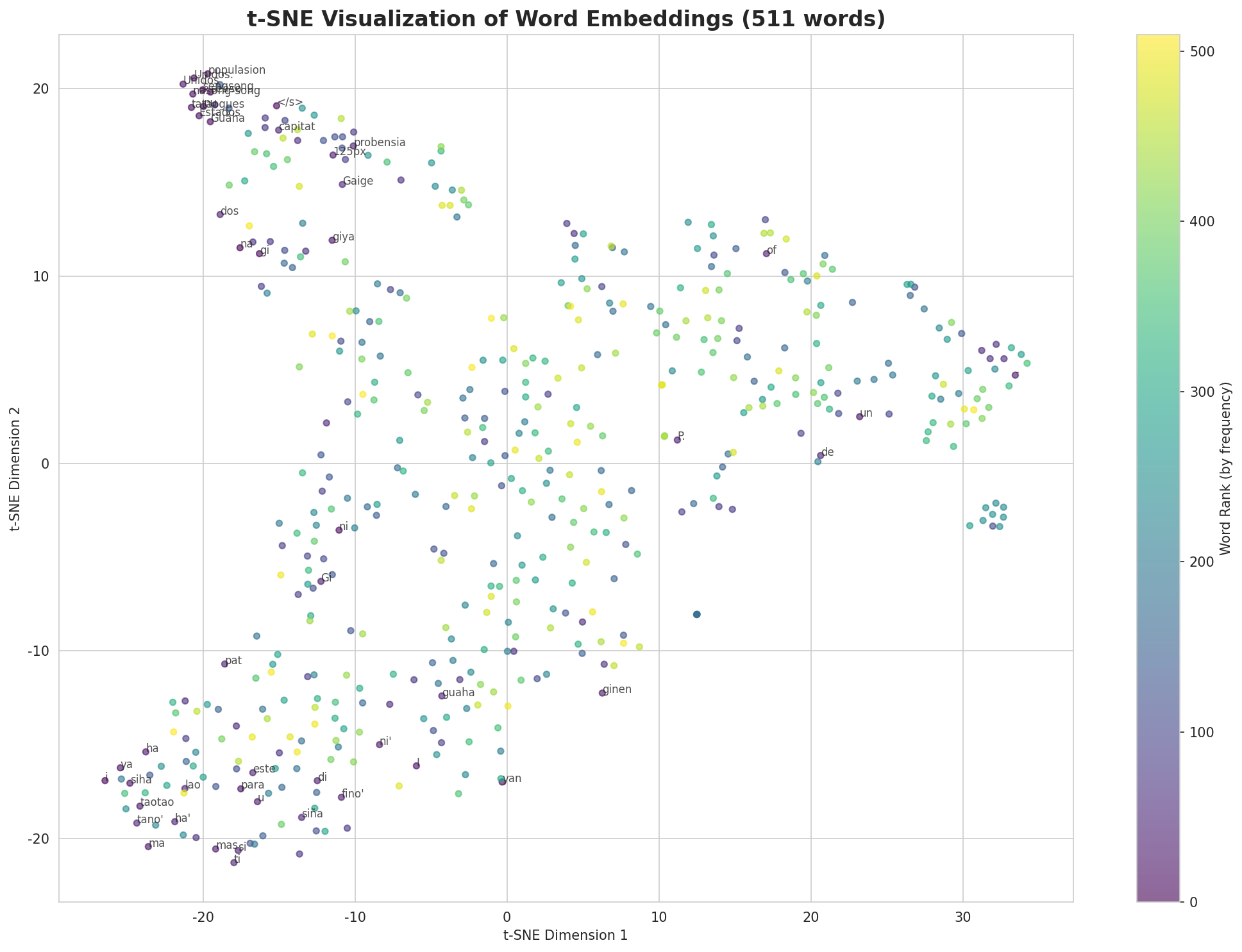 t-SNE Words