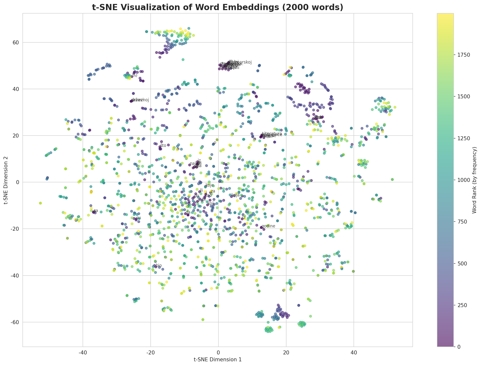 t-SNE Words