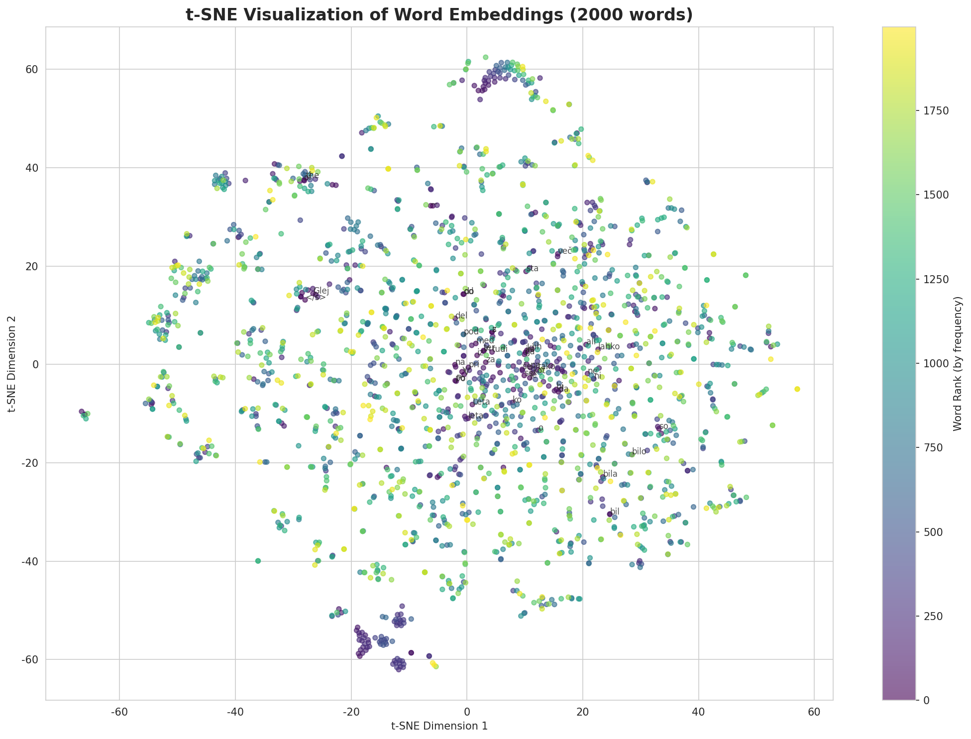 t-SNE Words